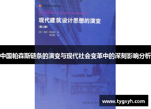 中国帕森斯链条的演变与现代社会变革中的深刻影响分析